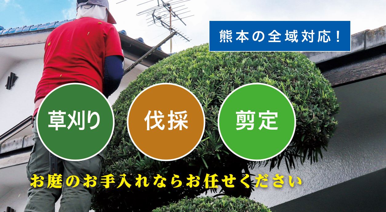 ���O���ő�����E����E���̂Ȃ�u����̑叫�v